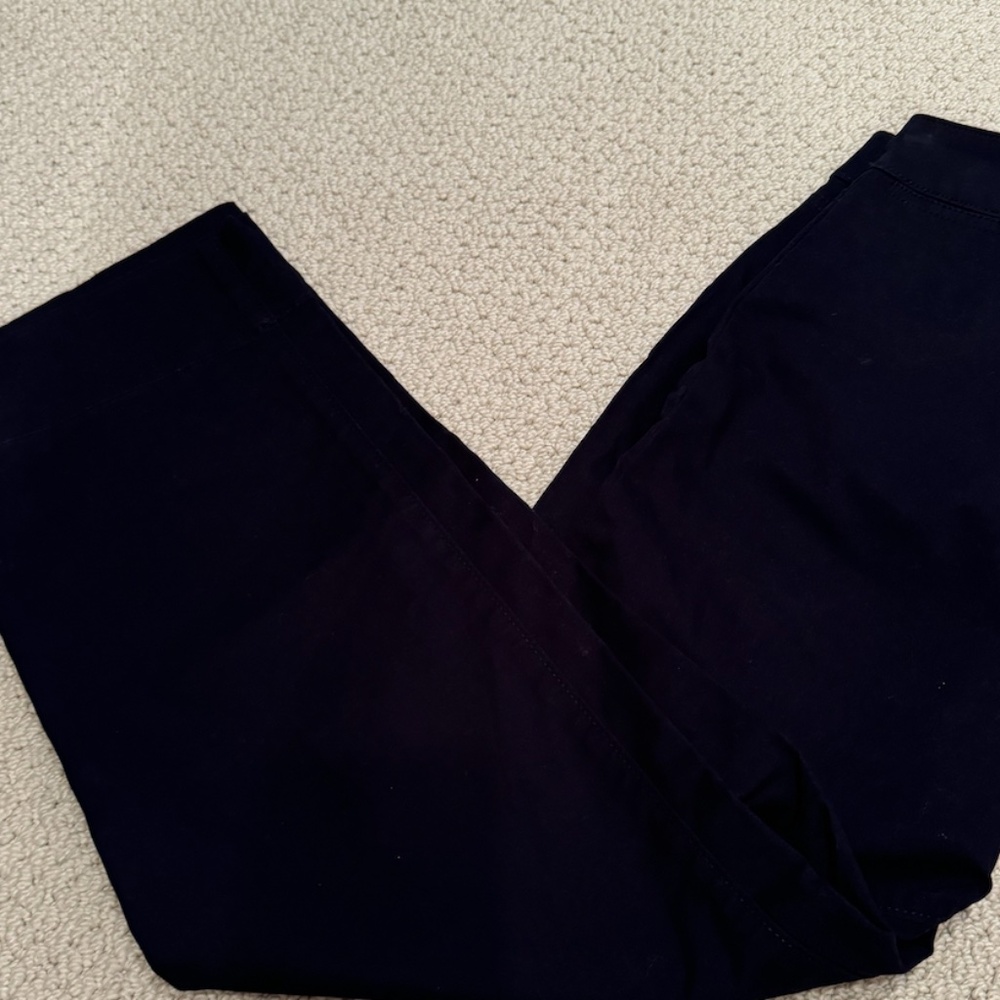 NWT: loft wide leg crop pants